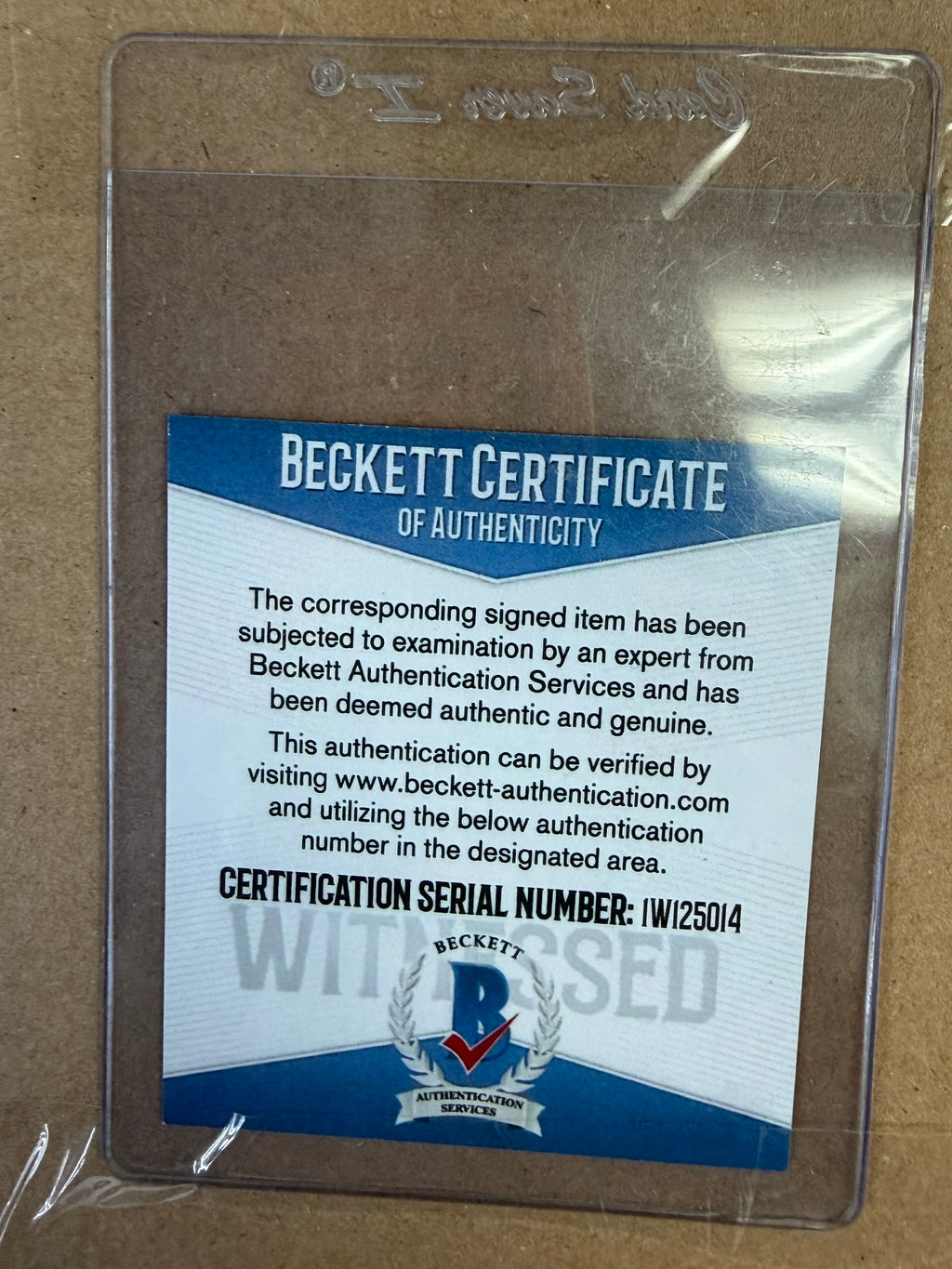 Stephen Curry Portrait, Framed and Signed